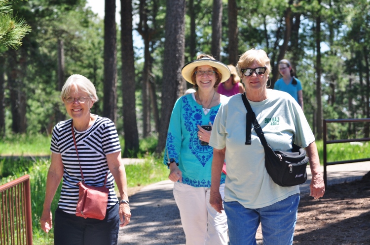 diane, sandy, ann